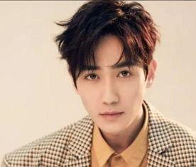 盘点娱乐圈中男明星,颜值与才华并存的璀璨星河